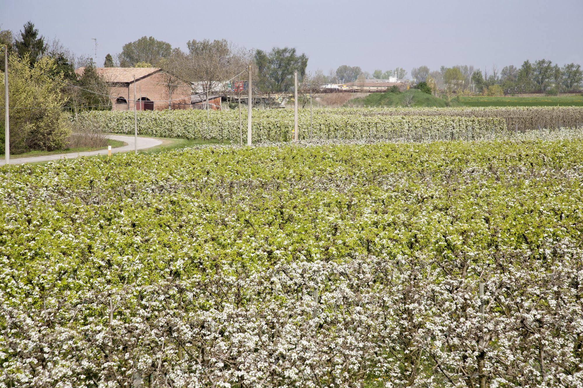 Agriturismo Dosso Al Porto Villa Rolo ภายนอก รูปภาพ